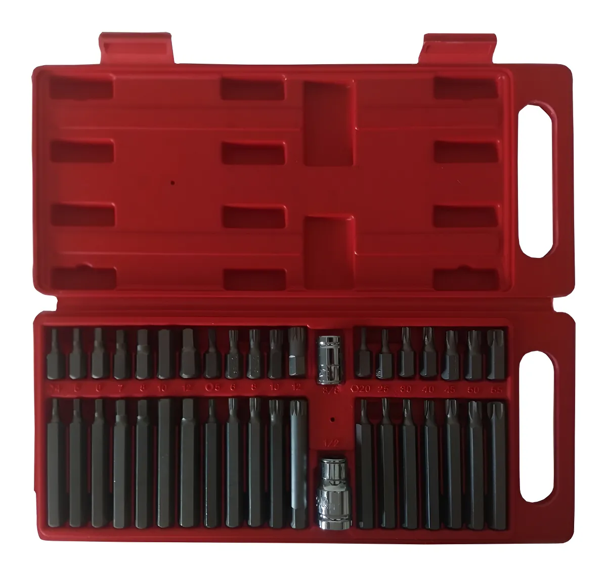 Puntas torx x 40 piezxas Davidson